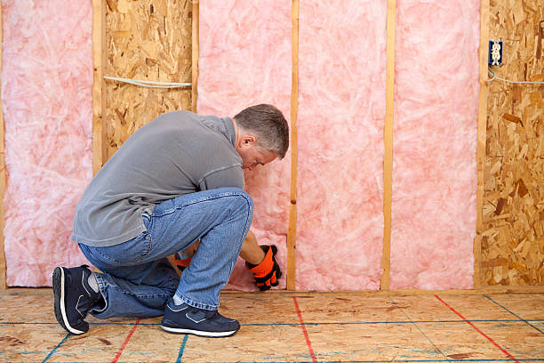 Best Specialized Insulation Services in USA